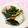 シャンプーハット's cooksnap of when they made チーズ春巻.