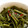 よしくらとも's cooksnap of when they made 茎わかめの炒め煮.
