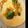 クロゥキィ's cooksnap of when they made ＊湯だねでもっちり！簡単！半熟卵のピザ＊.
