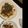 Ｕ17∞'s cooksnap of when they made 山芋と豚肉のニンニク炒め.