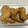 オーエス's cooksnap of when they made 簡単１５分で激ウマ♡手羽先の黒酢煮.