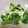 いいかげん減塩料理's cooksnap of when they made 水菜とホタテ缶で…わさびマヨネーズ和え.