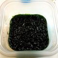 にゃん1234's cooksnap of when they made 簡単☆生青のりの酢の物.
