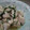 菜乃果's cooksnap of when they made 夕食のもう1品に　ささみの大葉焼き.