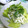 HappyMd's cooksnap of when they made 大根と三つ葉のシーチキンマヨ♪.