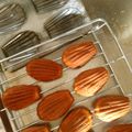 ひこぼ's cooksnap of when they made 本格マドレーヌ。ハチミツ風味.