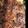 janinha's cooksnap of when they made オリーブオイルで炒め揚げ、牛肉とキャベツ.