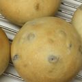 クッキングトミー's cooksnap of when they made 豆乳de丸パン.