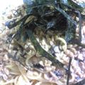 ぴこたん☆'s cooksnap of when they made *とろとろ納豆パスタ*.
