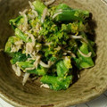 さんどる's cooksnap of when they made ほうれん草（菜の花）としらすのおひたし.