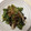 ポメちょん's cooksnap of when they made ルクエで青梗菜としいたけのオイル蒸し.