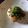 1214yui's cooksnap of when they made つくね＆豆腐の和風ソースハンバーグ.