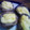 桃子san's cooksnap of when they made めっさ簡単！しいたけのマヨ焼き.