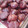 KEKOP's cooksnap of when they made 栗の渋皮煮.