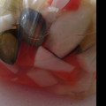 モメ太郎's cooksnap of when they made すし酢で簡単☆我が家のピクルス♪.