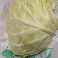 はるこし's cooksnap of when they made 我が家のキャベツの保存方法.