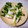 清水の小政's cooksnap of when they made カイワレとかまぼこの簡単おつまみ.