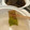 akico55555's cooksnap of when they made これレシピ？旬のひろめのしゃぶしゃぶ☆.