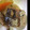 まなちゃん。's cooksnap of when they made さば水煮缶詰と大根の煮物.
