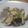 ゆごっち's cooksnap of when they made 簡単♬あさりの酒蒸し.