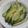 Ran6312's cooksnap of when they made 30分で完成！かんたんきゅうり漬け.