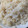 らっきー！'s cooksnap of when they made ホタテの干し貝柱と新生姜の炊き込みご飯.