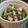 アツカ's cooksnap of when they made ちょっちょっと後1品に☆わけぎぬた.