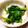 すけの母's cooksnap of when they made 菜の花のからし和え.