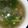 あかぷり's cooksnap of when they made １０分で！ニラと舞茸の中華スープ♪.