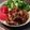 ＊☆ヒロ☆＊'s cooksnap of when they made 簡単！鶏肉のパン粉焼き.