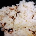mintacos's cooksnap of when they made 干し椎茸とちりめんの炊き込みおにぎり.