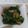yuhsaku's cooksnap of when they made 納豆ほうれん草.