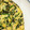 omisato513's cooksnap of when they made 混ぜて焼くだけ☆簡単ほうれん草オムレツ.