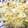 こじぴー's cooksnap of when they made かにかまとレタスの炒飯♪.