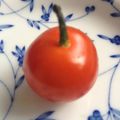 ４番目's cooksnap of when they made ﾐﾆﾄﾏﾄでりんごちゃん☆.