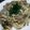 ライオンのスキッピィ's cooksnap of when they made 豆腐ステーキ　きのこソース♪.