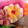 chide's cooksnap of when they made お弁当に♪転ばないゆで卵♪.