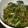 ｽｶｲﾌｨｯｼｭ☆'s cooksnap of when they made じゃことかぶの葉炒め.