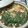ko2cook's cooksnap of when they made コチジャンで♪春菊ともやしの甘辛鍋.