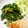 Match's cooksnap of when they made ほうれん草のバター炒めの極意.