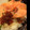 むちmuchiko's cooksnap of when they made いくらとスモークサーモンと玄米の丼.