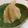 SYNDY's cooksnap of when they made 白餡（白こしあん）.
