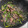 犬飼ってる's cooksnap of when they made 砂肝とにんにくの芽の炒め物.