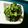 やぁぼん's cooksnap of when they made ほうれんそうのナムル.