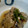 バニラ杏仁's cooksnap of when they made 蓮根と豆腐とえびの揚げ出し.