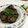 モグモグみぃみ's cooksnap of when they made 旨味がぎゅ～っと♡なすのはさみ煮.