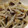 ★あやめバコ★'s cooksnap of when they made もやしときくらげのナムル.