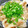 か～じゅま's cooksnap of when they made 甘くない簡単とりのみぞれ煮.