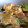 ✩ままま✩'s cooksnap of when they made 白菜と油揚げの卵とじ.