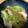 koriko23's cooksnap of when they made セロリとささみの生姜炒め.